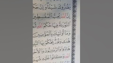 استخراج أحكام التجويد من سورة المائدة صفحة ١١٥