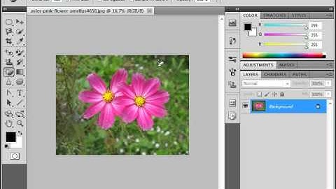 Photoshop CS5 Tutorial The Magic Eraser Tool Adobe Training Lesson 5.7