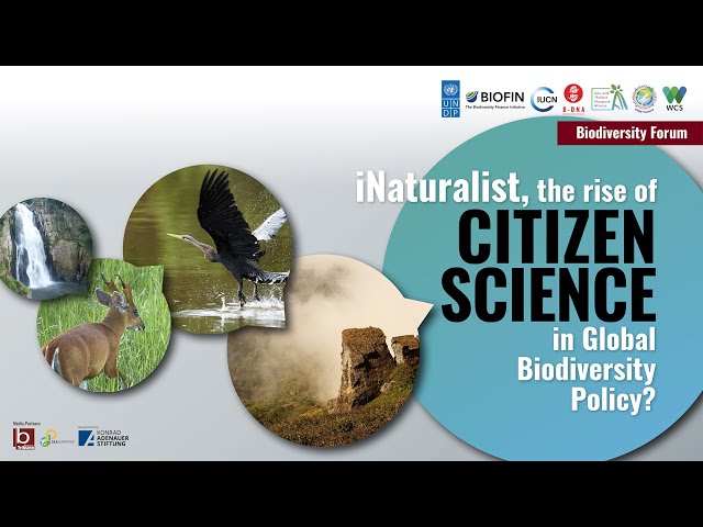 Biodiversity Forum: iNaturalist, the rise of Citizen Science in Global Biodiversity Policy?