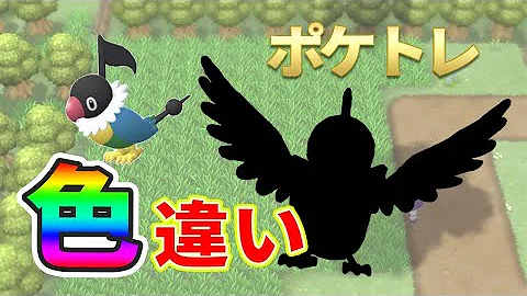 ペラップ色違い