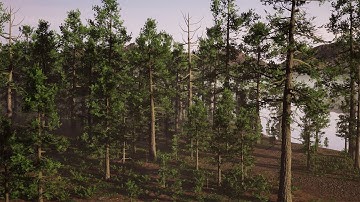 White Pine Forest Pack Showcase (UE4)