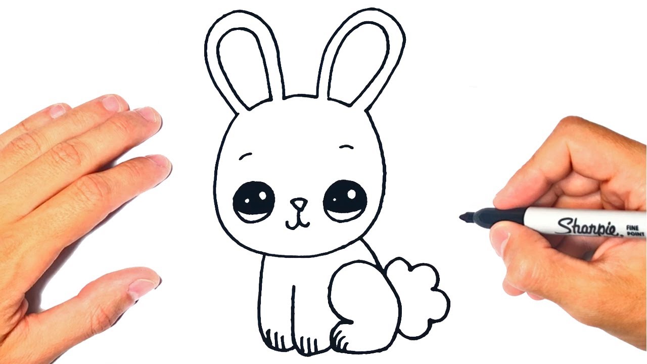 Como dibujar un CONEJO KAWAII | Dibujando un Conejito Kawaii - thptnganamst.edu.vn