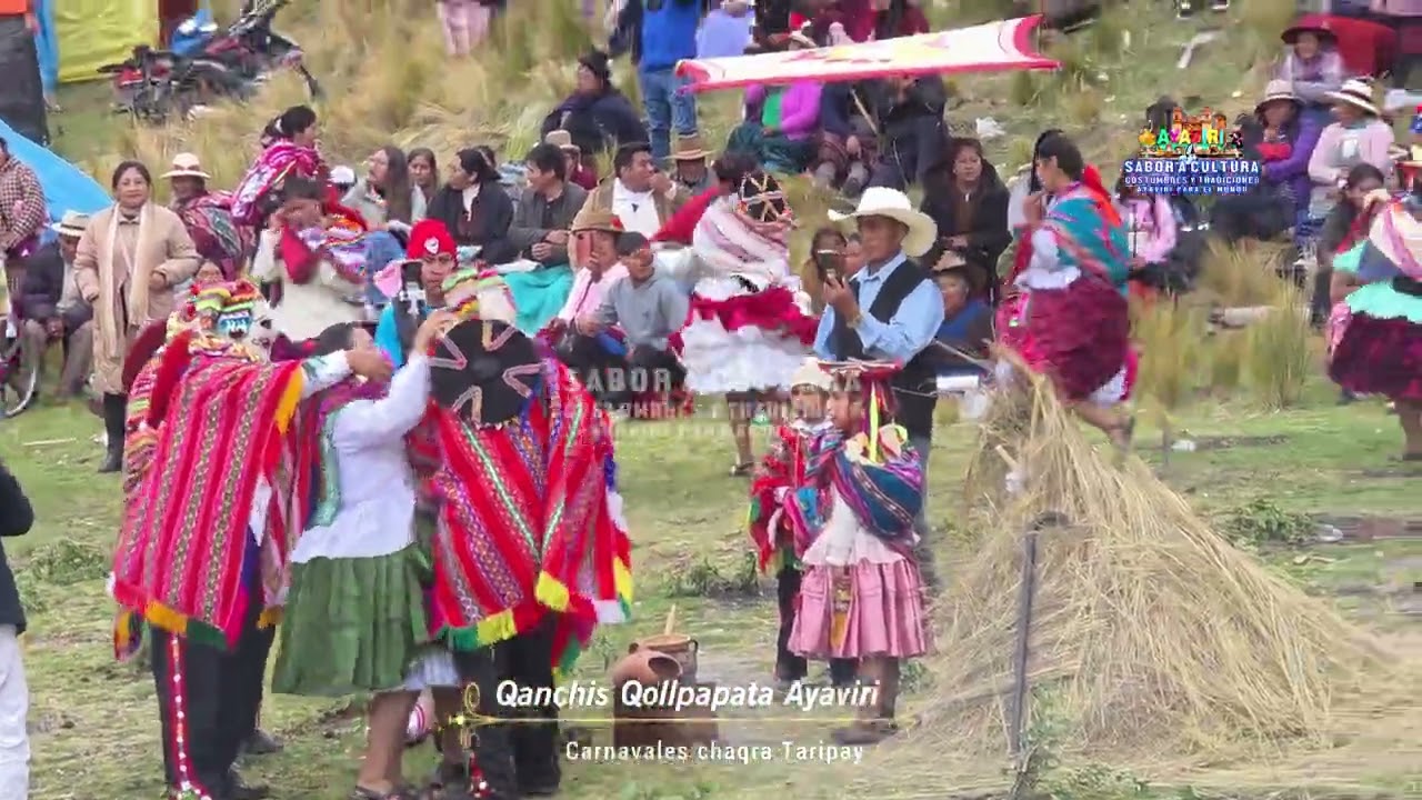 CHAQRA TARIPAKUY  QANCHIS DE QOLLPAPATA DE AYAVIRI 