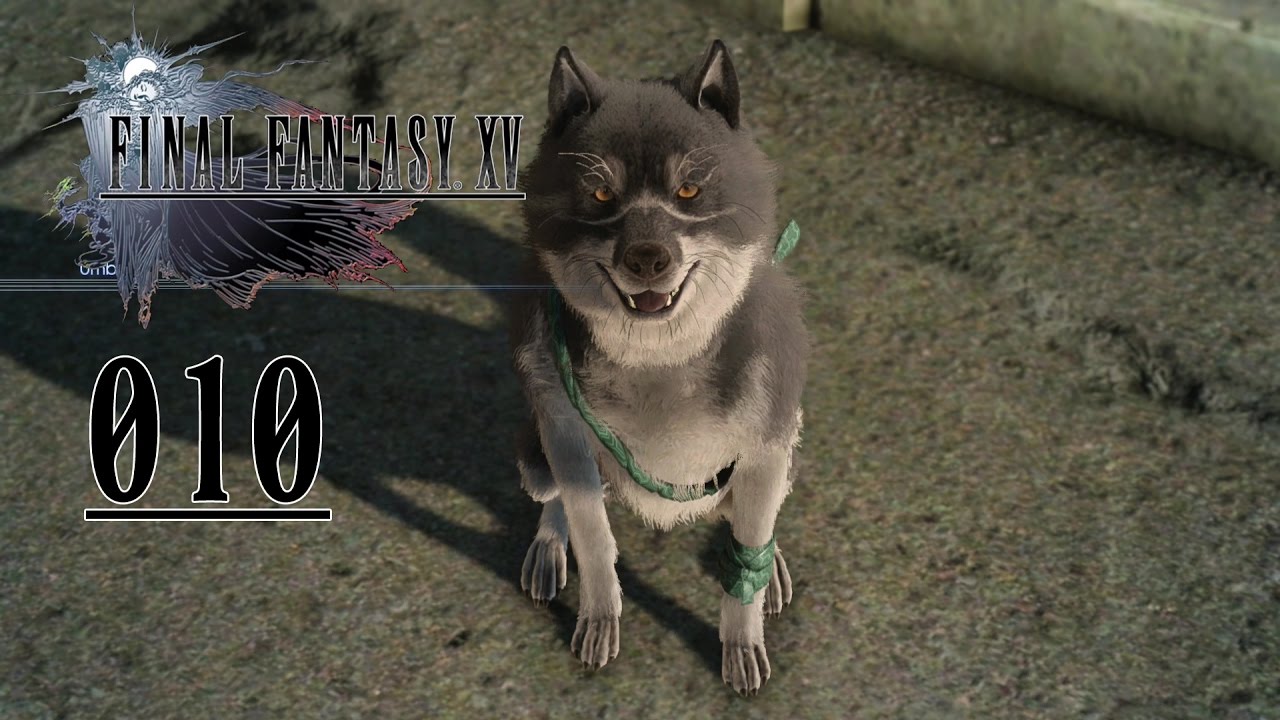 fantasy hund