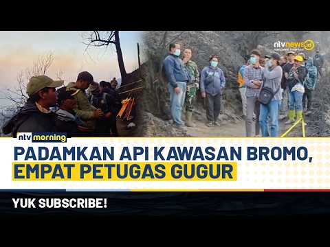 Mencekam! 4 Petugas Tewas Saat Padamkan Api Karhutla di Kawasan Bromo | NTV MORNING
