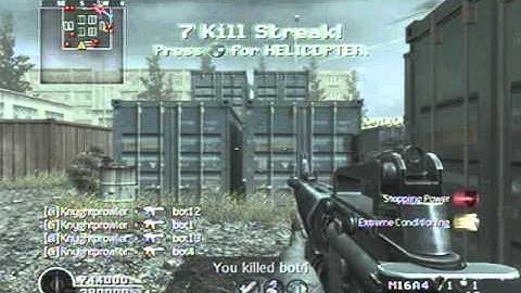 Bot and 10 prestige lobby in COD4