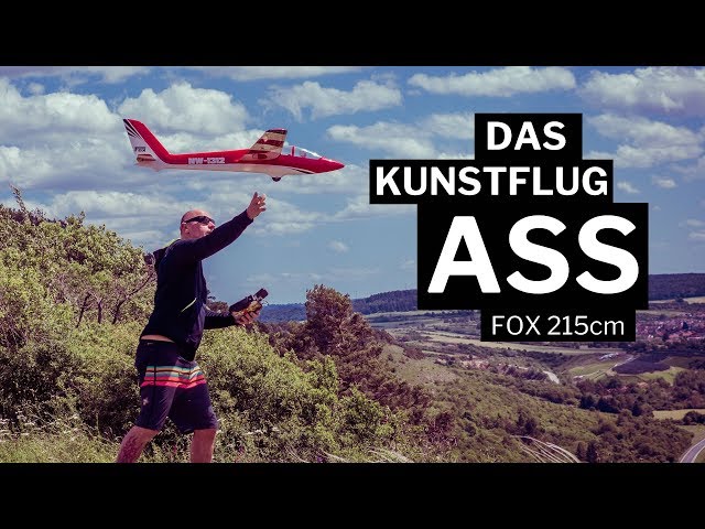 Fox 215cm Segler von D-Power  Das Kunstflug-Ass unter den Scale Seglern 