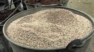 Your Day with Susy Morris - Potting Soil