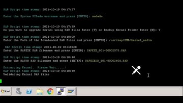 SAP AUTOMATION TOOL for Basis Maintenance Activities By Sheshu