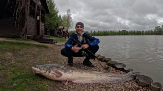 Ловим ТРОФЕЙНЫХ СОМОВ и тестим палку с катушкой!