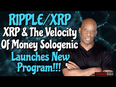 cryptocurrency velocity of money cryptocurrency velocity of money