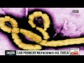 ¿El ébola podría transmitirse por aire?