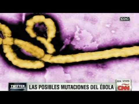 Vídeo: ¿Puede El Virus Del Ébola Mutar Y Transmitirse Por El Aire? - Vista Alternativa