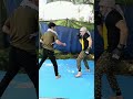 round kick #mma #selfdefense #knockout