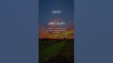 سورة آل عمران بتلاوة هادئة تريح القلب و الروح