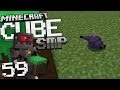 Minecraft Cube SMP S1 Episode 59: Endermite