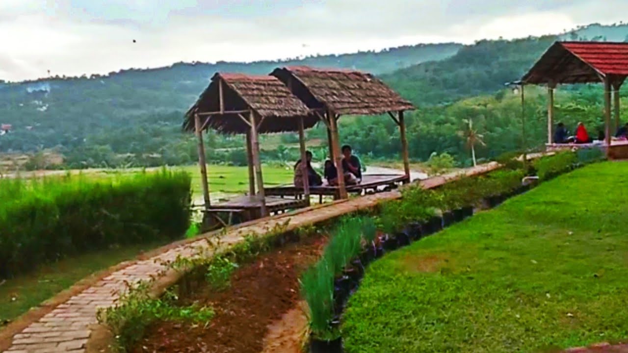 CUKUP 5 RB !! TEMPAT NGOPI PALING SYAHDU PINGGIR SAWAH,, PELOSOK PEDESAAN JAWA BARAT