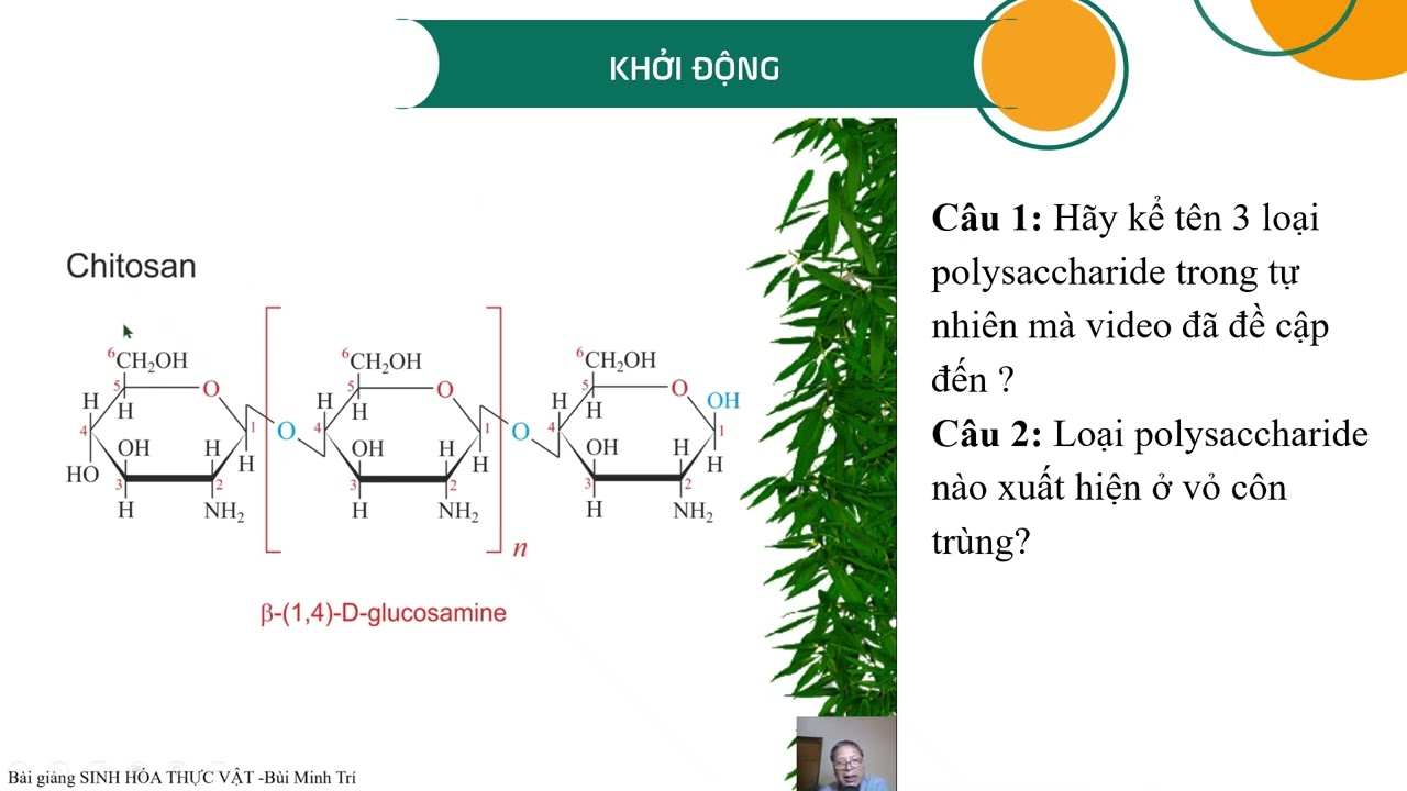 KHBD PP TV BAI 6   ĐIỀU CHẾ GLUCOSAMINE HYDROCHLORIDE TỪ VỎ TÔM   CHUYEN DE HOA