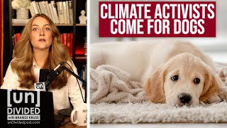 Download Lagu Volgens nieuwsbericht is uw hond slecht voor het klimaat MP3 Download Lagu Volgens nieuwsbericht is uw hond slecht voor het klimaat MP3