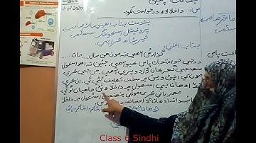Class 6 Sindhi home work