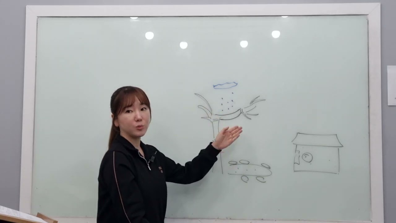 고전시가5. 눈 맞아, 연못에, 임으란