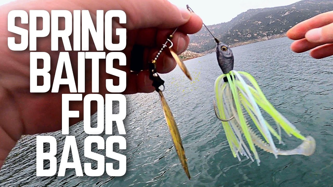 Great Spring Baits for Bass - Spring Bass Fishing Tournament - Lake San  Vicente 