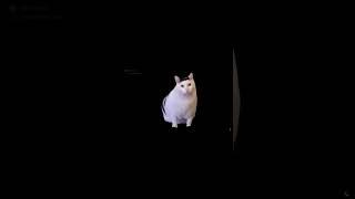 Mon bro n'a pas eu le même argent que moi 😶🌫️ (un hackeur a la fin de la vidéo..)