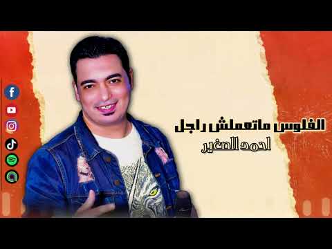 الفلوس ماتعملش راجل احمد الصغير اجمل الاغاني