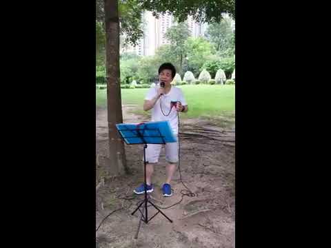Busking - 李克勤《花落誰家》 Cover by Pan