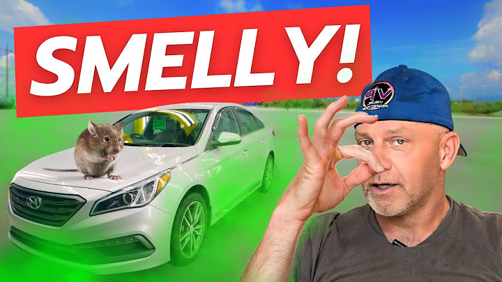 Searching for a dead mouse in customers car!