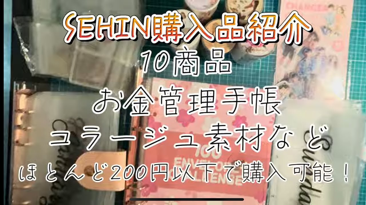 SEHIN購入品/お金管理手帳／ジッパーバック/一週間ジッパーバック/リフィルとバインダー