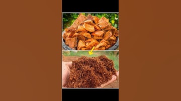 How to make Cocopeat at home 🏠#cocopeat #gardening #gardeningtips #tamil