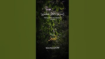 شيخ:محمد صديق المنشاوي💚🌿#اذكر_الله #قرآن #اكسبلور #تلاوة_خاشعة #المنشاوي #مصر #explore #quran #egypt