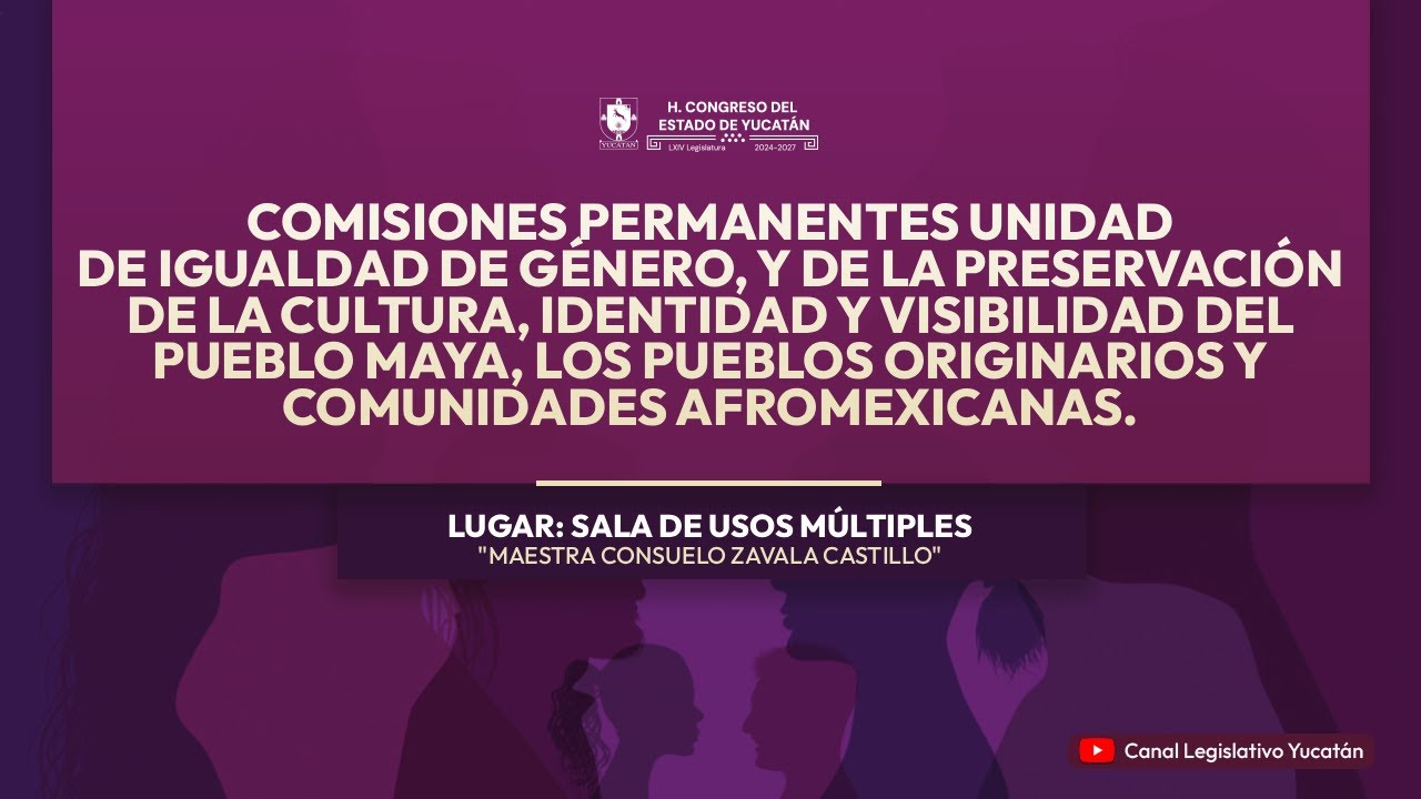 Comisiones Permanentes Unidas de Igualdad de Género, y de la Preservación de la Cultura, Identidad y