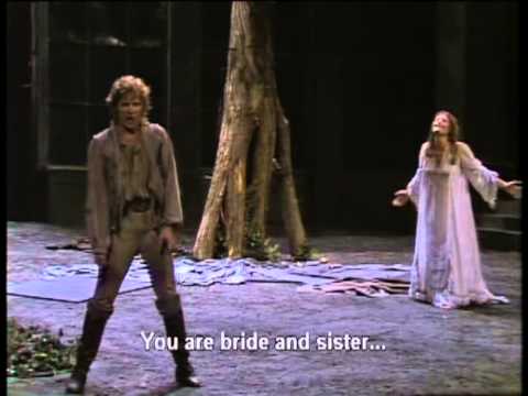 Wagner / Die Walkure Act1 Finale - YouTube