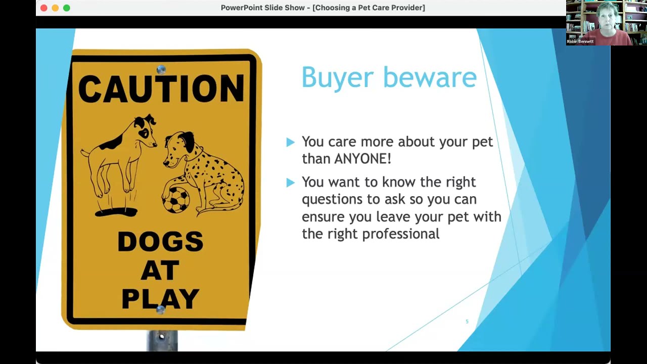 How to Choose the Best Pet Care Professional