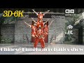 广东功夫杂技Chinese Kungfu acrobatics vr180