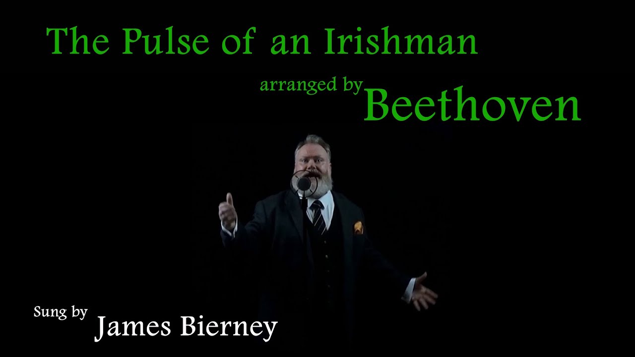 True Irishman song lyrics and guitar chords - Irish folk songs