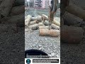 Heavy Hydraulic Breaker tool for Concrete Demolition #tools