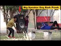 Fake Dog Bark Vs Man Prank 2021! Try To Not Lough!!