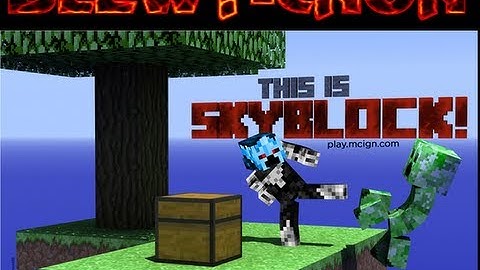 The best skyblock island