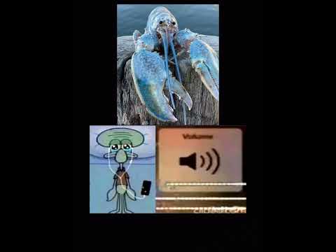 another blue lobster meme =)