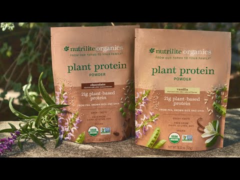 Proteína en polvo