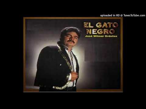 El Gato Negro