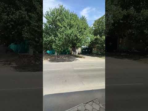 мой дом, моя