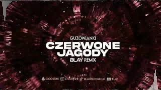 Guzowianki - Czerwone Jagody (BLAY REMIX) Resimi