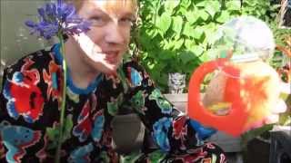 Baby Praying Mantises Meet An Abdl Diaper Boy