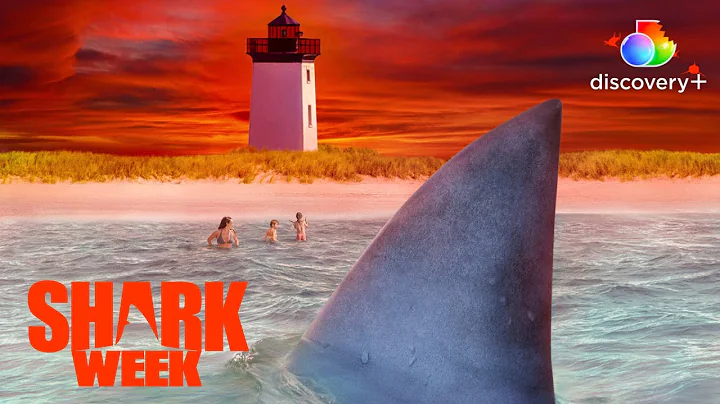 Fatal Great White Shark Attack in Cape Cod! | Grea...