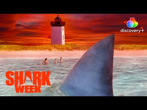 Fatal Great White