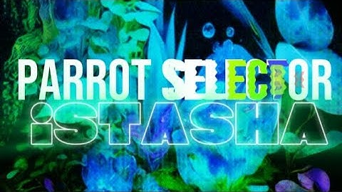 Istasha - Parrot Selector (Lyrics Video)